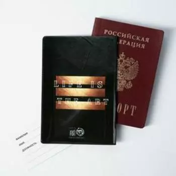Обложка для паспорта "DAVID"