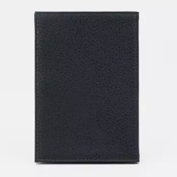 Обложка для паспорта, герб, цвет зелёный