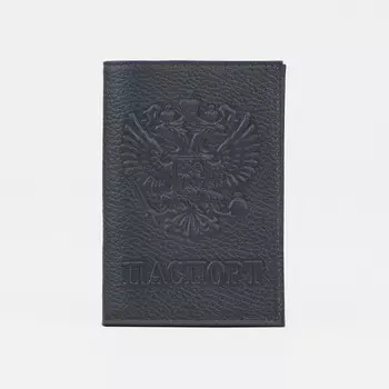 Обложка для паспорта, цвет графитовый