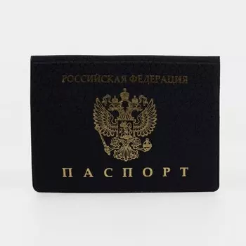 Обложка для паспорта, цвет чёрный