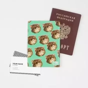 Обложка для паспорта «Из накоплений только жировые»