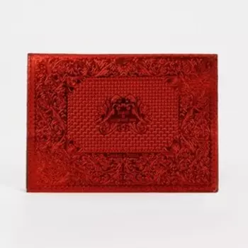 Обложка для паспорта, цвет красный