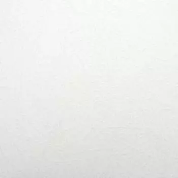 Обложки для переплета A4, 230 г/м2, 100 листов, картонные, белые, тиснение под Кожу, Гелеос