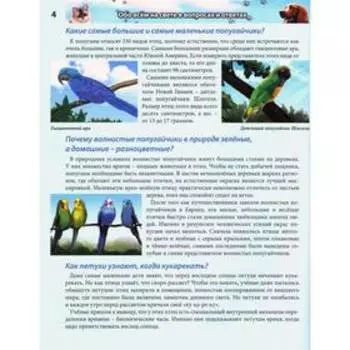 Обо всем на свете в вопросах и ответах (красн. ). Мирославов Ф.