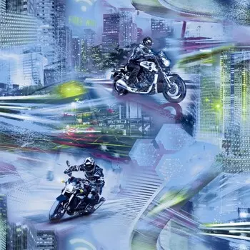 Обои бумажные, дуплекс, С6, Саратовские обои Д726-01, Байкер 0,53х10,05м