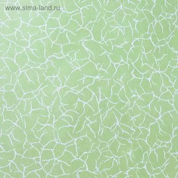 Обои бумажные «Русские обои. Паутинка 1809", 0.5310.05 м, цвет зелёный