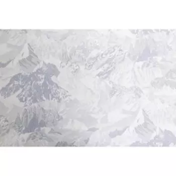 Обои горячего тиснения на флизелине HomeColor HC31147-14, 1,06*10,05м