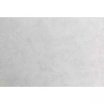 Обои горячего тиснения на флизелине HomeColor HC71782-14, 1,06*10,05м