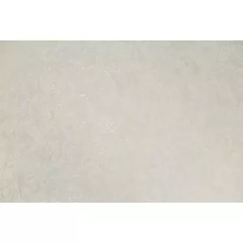 Обои на флизелиновой основе HC71661-21 (8) HomeColor 1.06*10 м