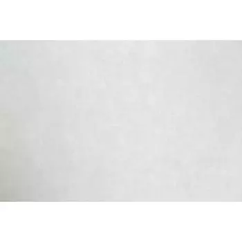 Обои на флизелиновой основе HC71695-14 (8) HomeColor 1.06*10 м