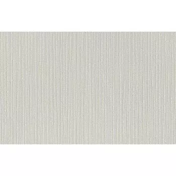 Обои виниловые на бумажной основе Инфинити фон-21 11СБ2 Брянские обои 0,53х10,05 м