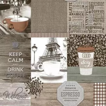 Обои виниловые на бумажной основе моющиеся Саратовские обои В036-02 Премиум-Д, 0.53*10м