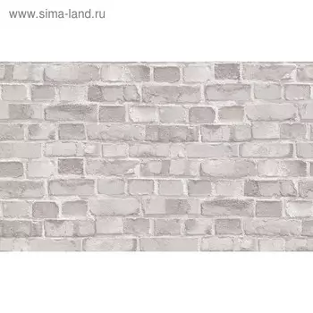 Обои виниловые на флизелиновой основе горячего тиснения, 10,05х1,06 м, Trend, 4557-3