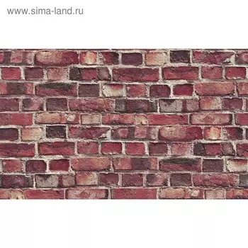 Обои виниловые на флизелиновой основе горячего тиснения, 10,05х1,06 м, Trend, 4557-5