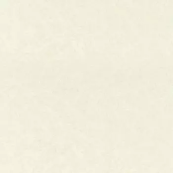 Обои виниловые на флизелиновой основе VILIA 1495-71 Магнолия фон, 1,06*10м