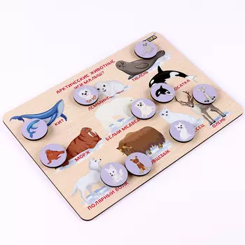 Обучающая доска с липучками «Где чей малыш. Арктические животные»