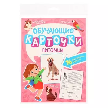Обучающие карточки «Питомцы»