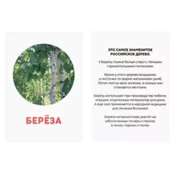 Обучающие карточки по методике Г. Домана «Деревья», 12 карт, А6
