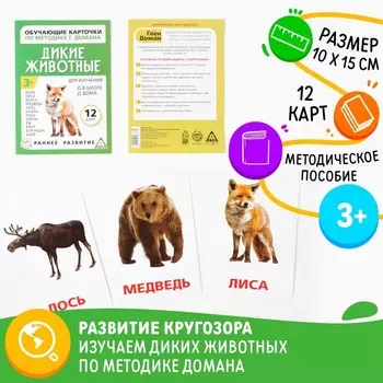 Обучающие карточки по методике Г. Домана «Дикие животные», 12 карт, А6