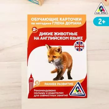 Обучающие карточки по методике Г. Домана «Дикие животные на английском языке», 12 карт, А6