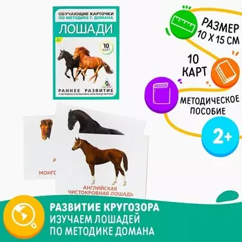 Обучающие карточки по методике Г. Домана «Лошади», 10 карт, А6