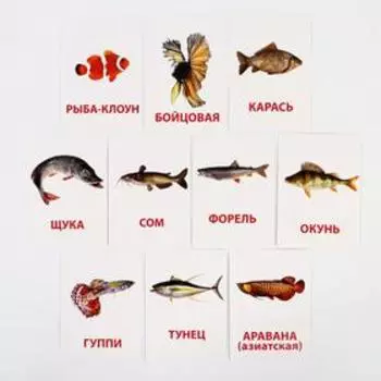Обучающие карточки по методике Г. Домана «Рыбы», 10 карт, А6