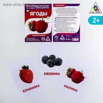 Обучающие карточки по методике Г. Домана «Ягоды», 12 карт, А6