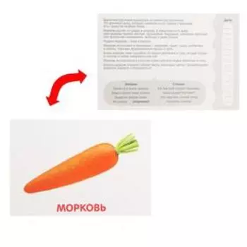 Обучающие карточки по методике Глена Домана «Овощи», 12 карт, А6, 3+