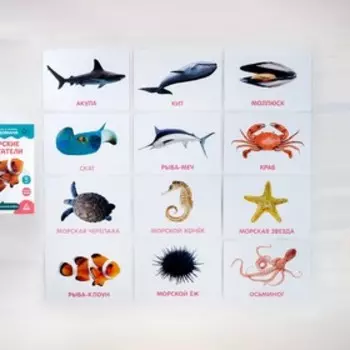 Обучающие карточки по методике Глена Домана размера А5, «МИКС №3»