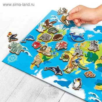 Обучающий плакат «Животные мира»