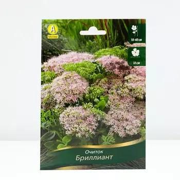 Очиток (седум) Бриллиант, 1 шт, Весна 2024