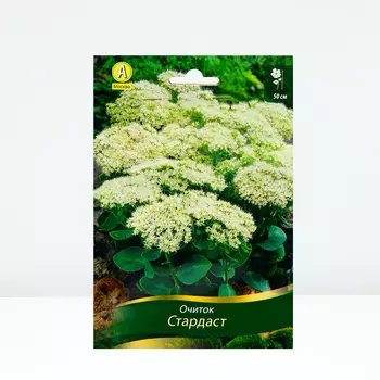 Очиток (седум) Стардаст, 1 шт, Весна 2024