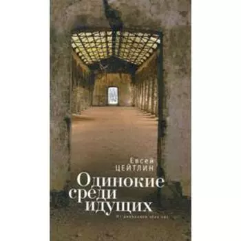 Одинокие среди идущих. Из дневников этих лет. Цейтлин Е.