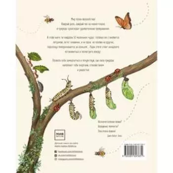 Оглянись вокруг. 50 маленьких событий в живой природе, ради которых стоит замедлиться