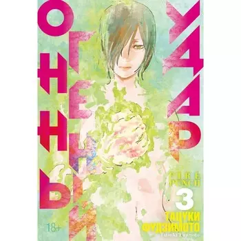 Огненный удар. Книга 3. Фудзимото Т.