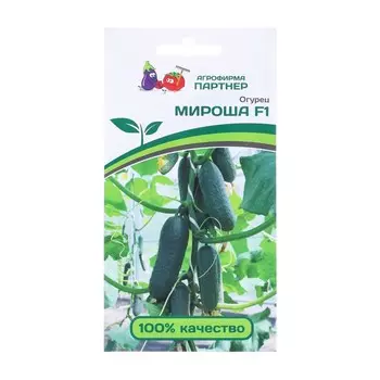 Семена Огурец «МИРОША» F1, гибрид, партенокарпический, 10 шт.