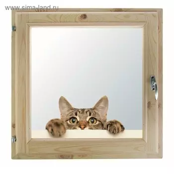Окно 80х80 см, "Кошак", однокамерный стеклопакет, уплотнитель, хвоя