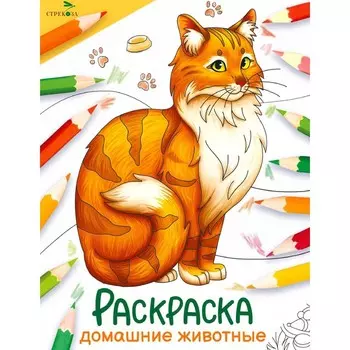 Окружающий мир. Раскраска. Домашние животные