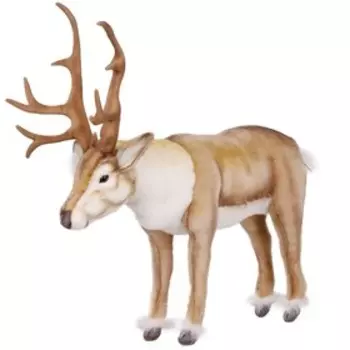 Олень северный, 60 см