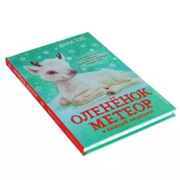 Оленёнок Метеор и зимний сюрприз!