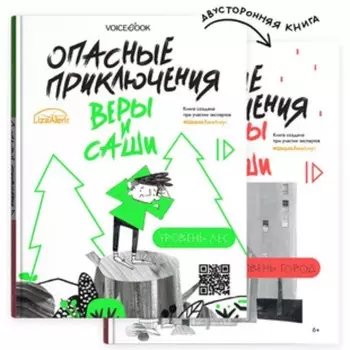 Опасные приключения Веры и Саши Уровень Лес. Город. Иванова Ю.