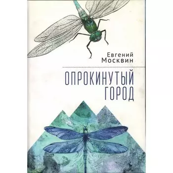 Опрокинутый город. Москвин Е.