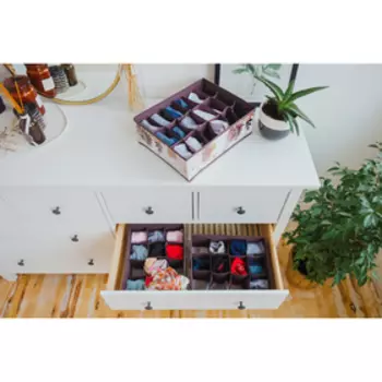 Органайзер для хранения белья Доляна «Астра», 16 ячеек, 362812 см, МИКС