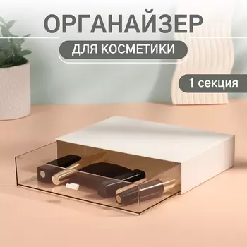 Органайзер для хранения «BASIC», 1 секция, 23175 см, белый, прозрачный