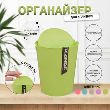 Органайзер для хранения, с крышкой, 1 секция, 14.5129.2 см, МИКС