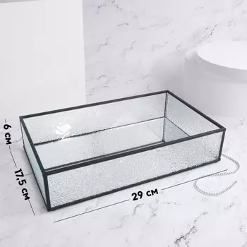 Органайзер для хранения «Wet Glass», 1 секция, стеклянный, с зеркальным основанием, 29 17,5 см, цвет прозрачный/чёрный