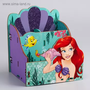 Органайзер для канцелярии, 141416 см, «Принцессы»