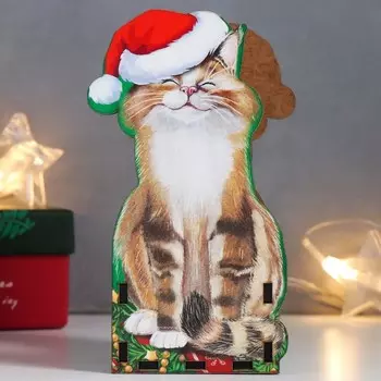 Органайзер "Кот в шапке" 15х9 см