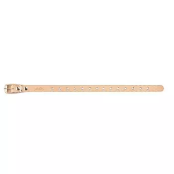 Ошейник Аркон кожаный однослойный безразмерный, 2,5 см, ОШ до 54 см, бежевый