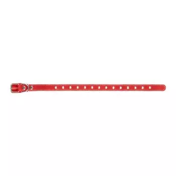 Ошейник Аркон кожаный однослойный безразмерный, 2,5 см, ОШ до 54 см, красный